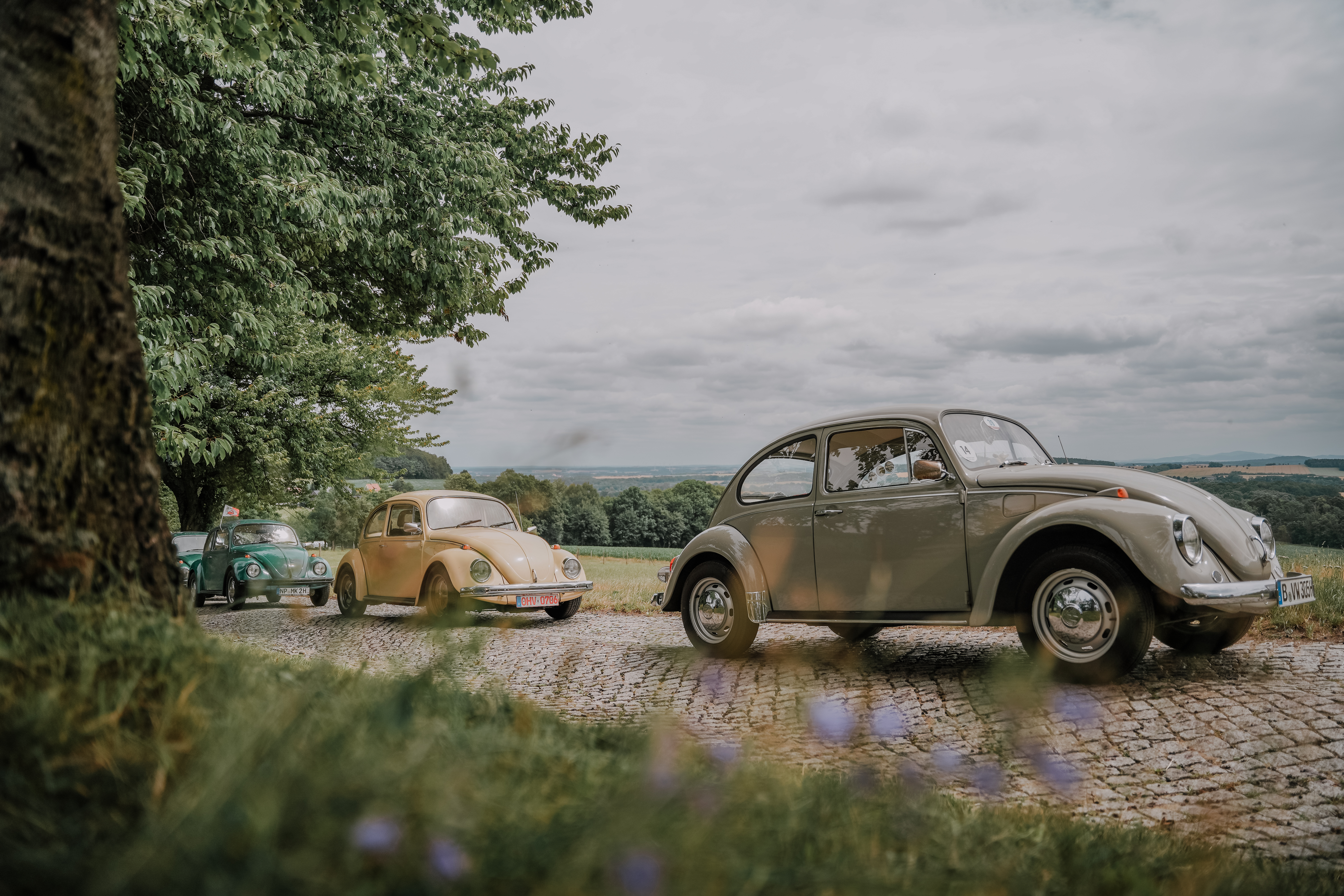 Käfercamping Portfolio